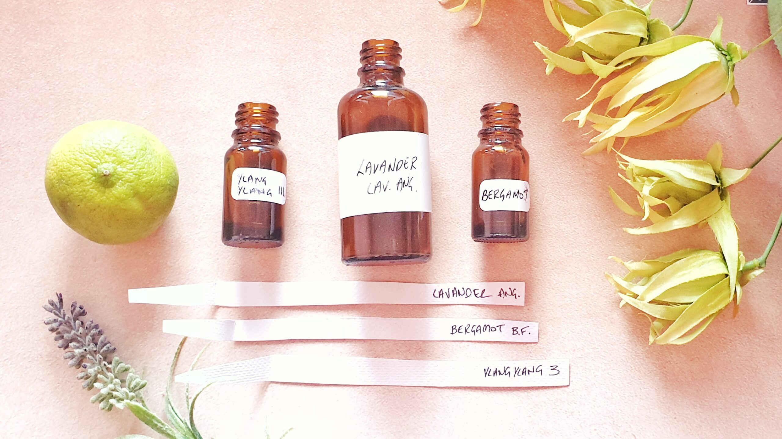 The fragrance creation process